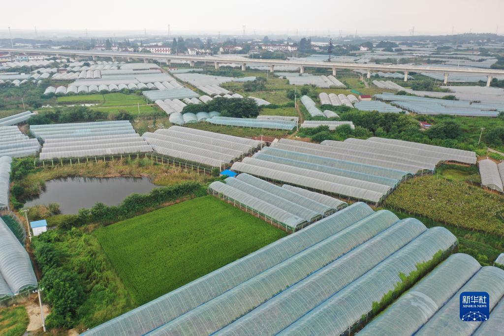新2国际网站开户